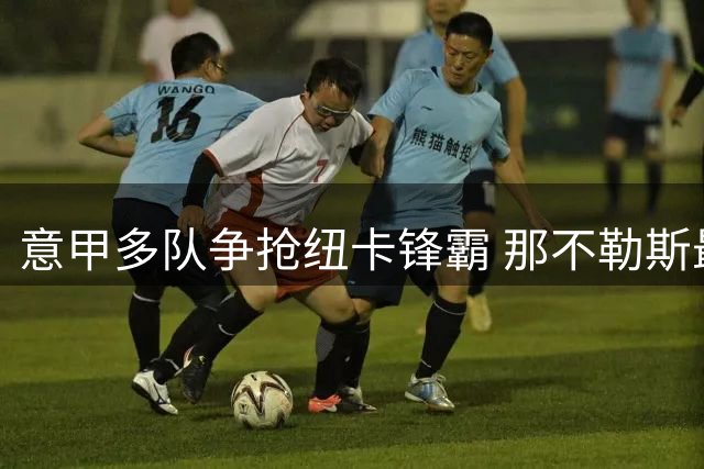 意甲多队争抢纽卡锋霸 那不勒斯最为积极