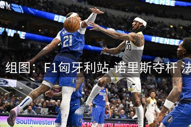 组图：F1匈牙利站-诺里斯夺杆 法拉利斩获二三位